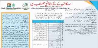 Sindh Education Foundation Scholarship 2022