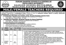 Punjab Daanish school hasilpur Teaching Jobs 2024