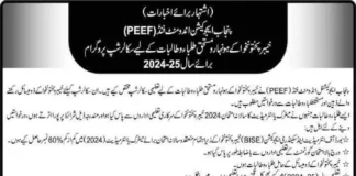 peef scholarships for kpk 2025