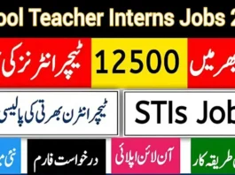 STI Jobs 2025 Apply Online